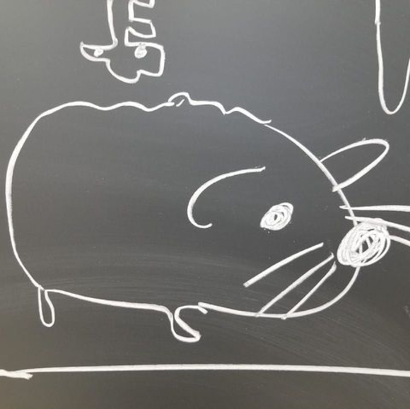 Meet your Posher, Carol - Picture 1 of 1